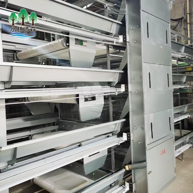 Poultry House Automatic Feeding Trolley